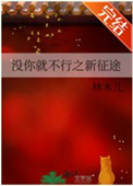 没你就不行之新征途小说封面