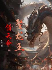 风水天师小说封面