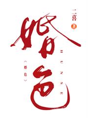 婚色小说封面