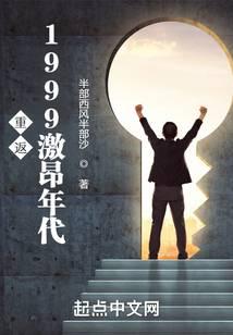 重返1999激昂年代小说封面