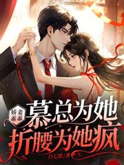 陆少的隐婚罪妻小说封面