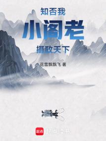 知否:我,小阁老,摄政天下小说封面