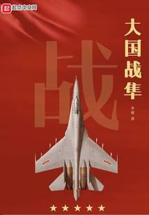大国战隼小说封面