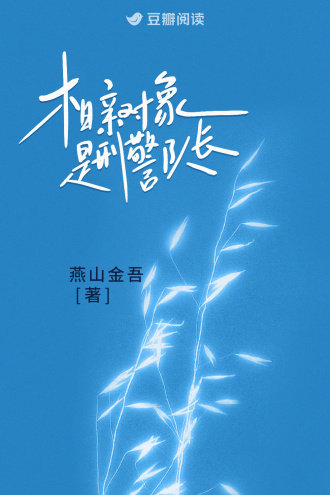 相亲对象是刑警队长小说封面