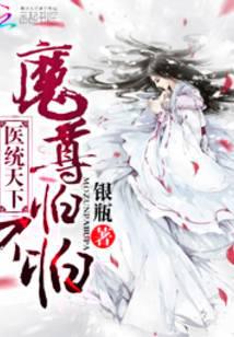 医统天下小说封面