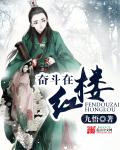 奋斗在红楼小说封面