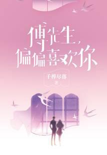 傅先生，偏偏喜欢你小说封面