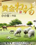 黄金牧场小说封面