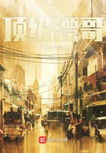 顶级漂哥小说封面