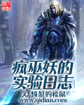 疯巫妖的实验日志小说封面
