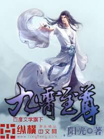 九霄至尊小说封面
