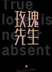玫瑰先生小说封面