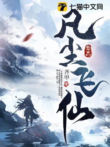 凡尘飞仙小说封面
