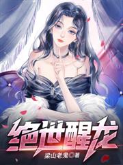 无敌六皇子小说封面