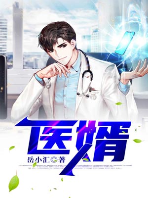 医婿小说封面