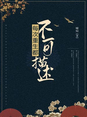 每次重生都不可描述小说封面