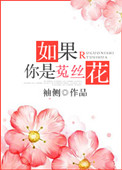 如果你是菟丝花小说封面