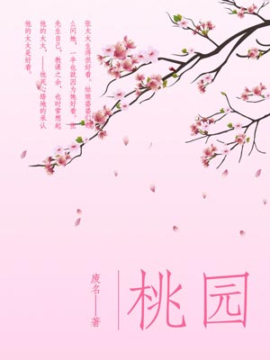 桃园小说封面