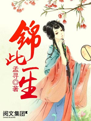 锦此一生小说封面