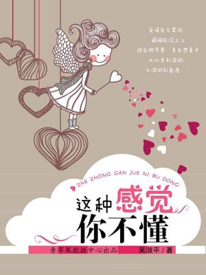 这种感觉你不懂小说封面