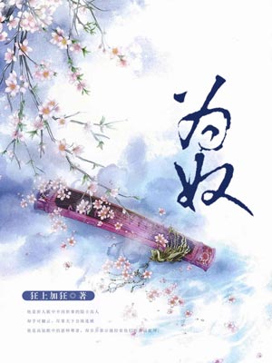 为奴小说封面