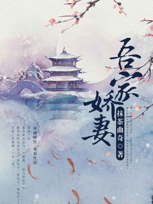 吾家娇妻小说封面