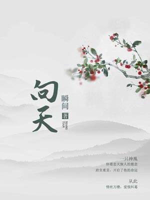 向天小说封面