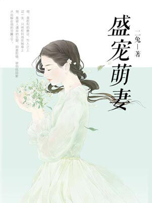 盛宠萌妻小说封面