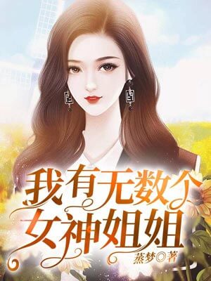 我有无数个女神姐姐小说封面