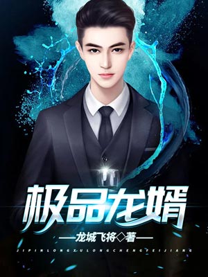 极品龙婿小说封面