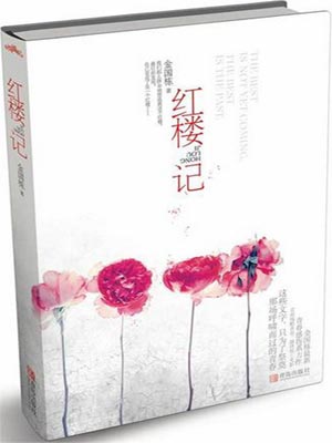 红楼记·揭秘艺校女生小说封面