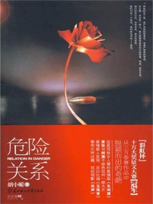 危险关系小说封面
