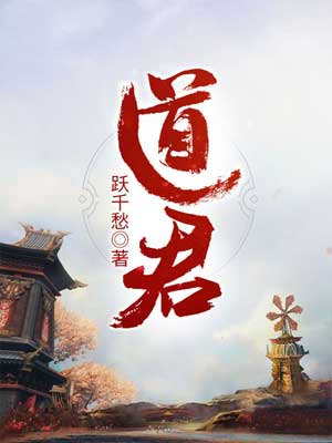 道君小说封面