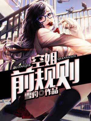 空姐前规则小说封面