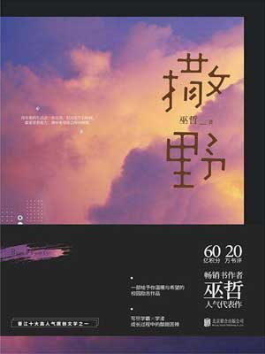 撒野小说封面