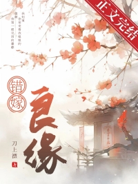 错嫁良缘小说封面