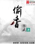偷香小说封面