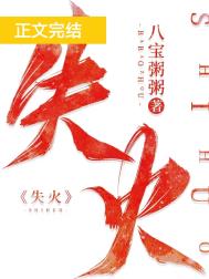 失火小说封面