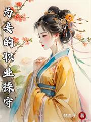为妾的职业操守小说封面