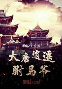 大唐逍遥驸马爷小说封面