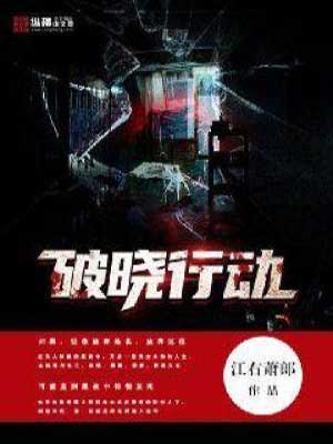 破晓行动小说封面