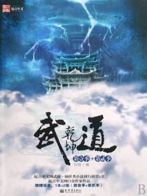 武道乾坤小说封面