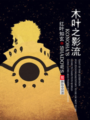 木叶之影流小说封面