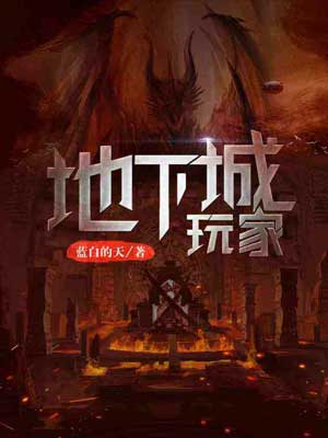 地下城玩家小说封面