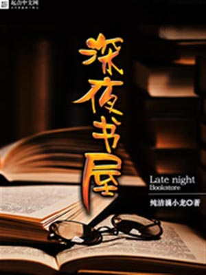 深夜书屋小说封面