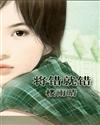 将错就错小说封面