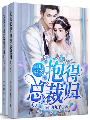 宝贝来袭,抱得总裁归小说封面