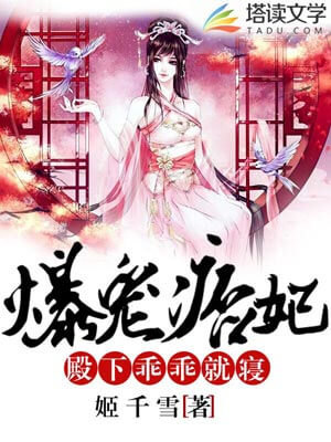 爆宠痞妃:殿下,乖乖就寝小说封面