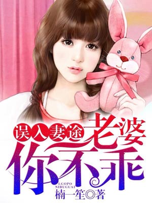误入妻途:老婆,你不乖!小说封面