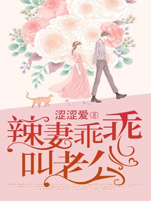 辣妻乖乖,叫老公小说封面